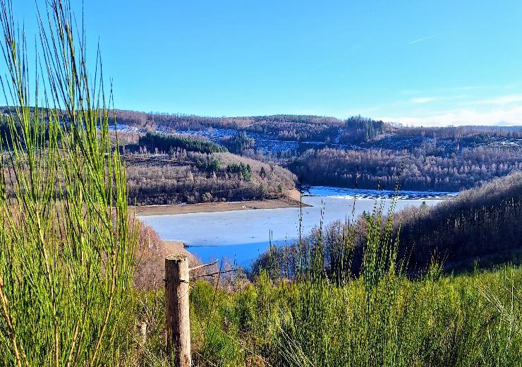  Auf in den Frühling