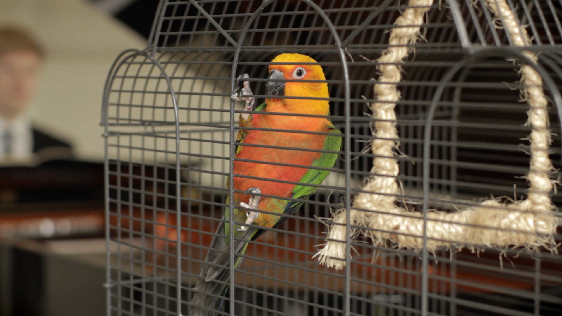 Rundgang durch das Tierheim Siegen mit kreativem Workshop (Alter 5–110).