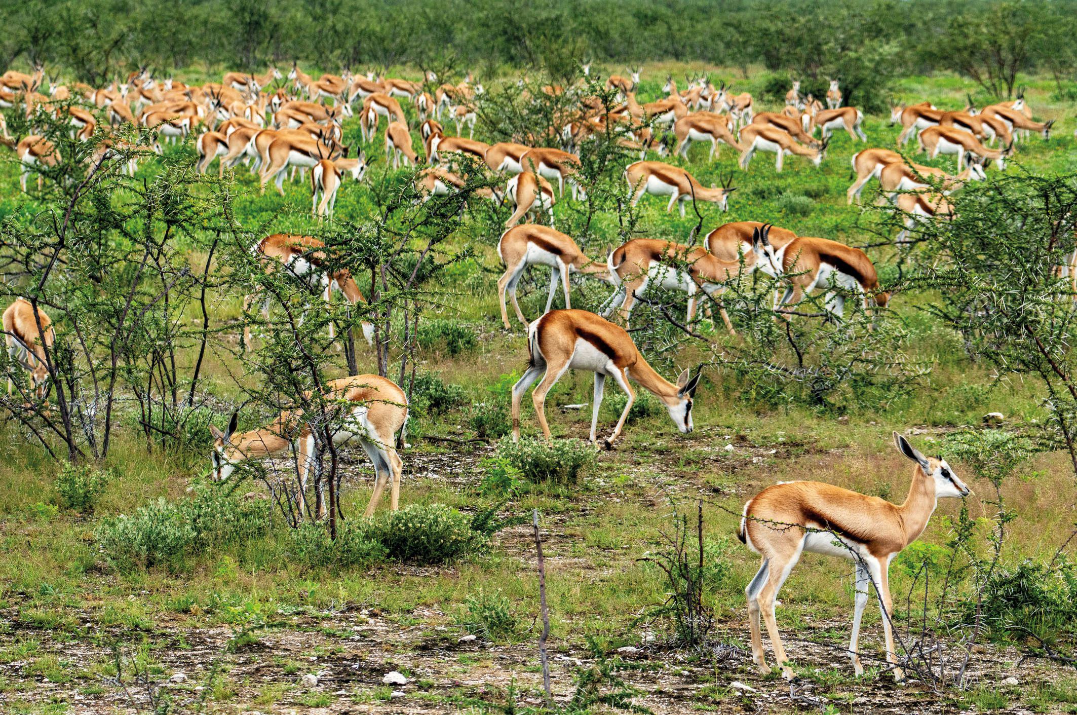 Begleitveranstaltung zur Mitgliederausstellung des Fotokreis Siegen e.V.