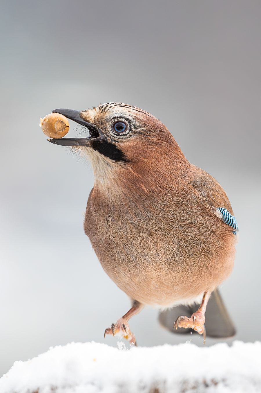 Vortrag von Dirk Manderbach