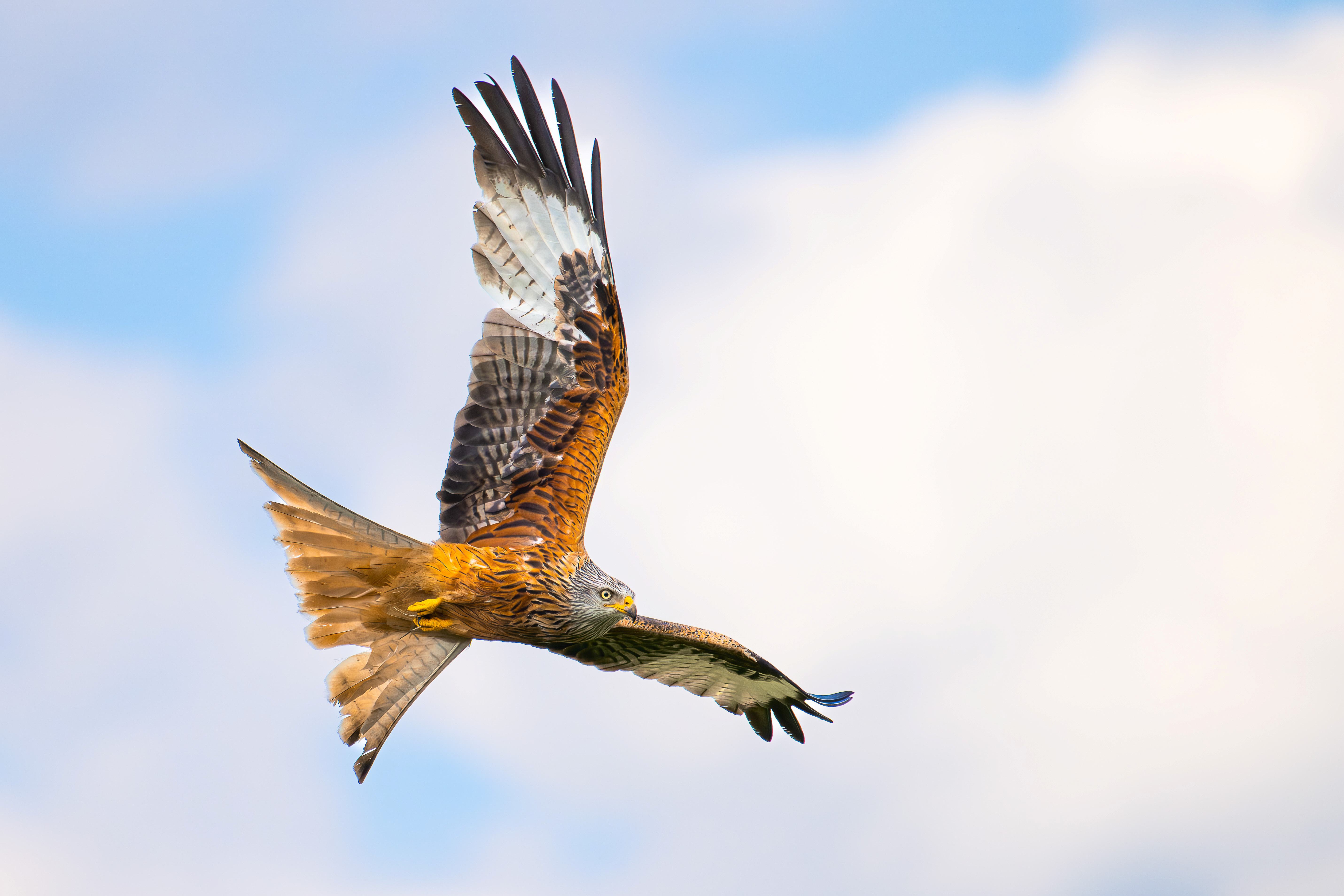 Finissage der Fotoausstellung von Dirk Manderbach