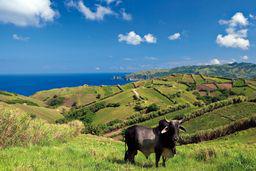 Multivision  Philippinen - 7.107 Inseln voller Kontraste