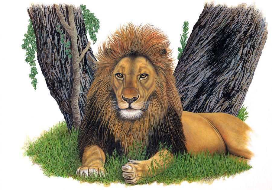 Malerei und Grafik von Susanne Krüger