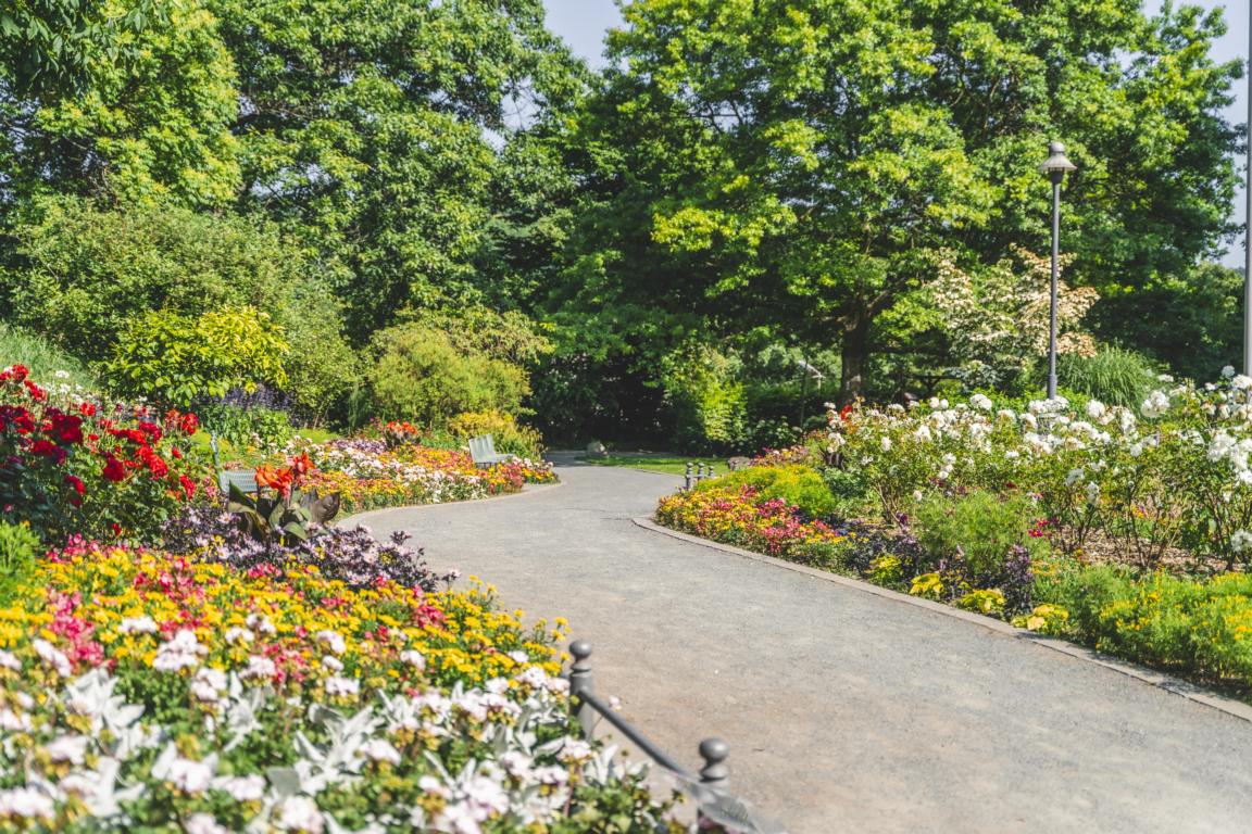 kostenlose Führung durch den historischen Schlosspark
